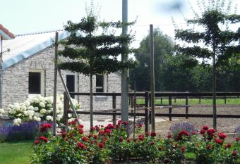 B & B  has Balcony rooms