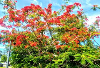 villa siber has Balcony rooms