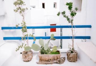 Silvernoses Little Venice, Mykonos Town has Balcony rooms