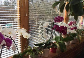 Margar  ta Panzi   allows 18 year olds to book a room