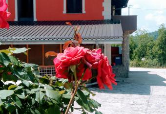 Apartment & Rooms Hazler has Balcony rooms