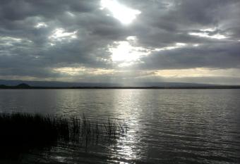 Cactus Eco Camp and Lodge has Balcony rooms