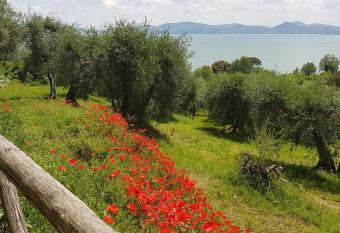 Antica casa di famiglia allows 18 year olds to book a room