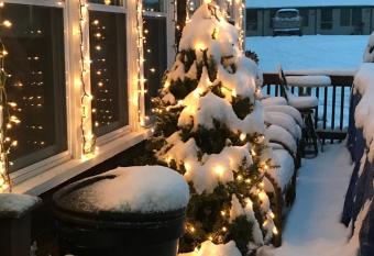 Holiday House Motel allows 18 year olds to book a room