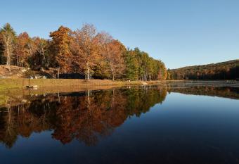 The Country Inn allows 18 year olds to book a room