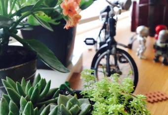 Interval has Balcony rooms