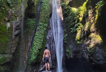 Sekumpul Accommodation has Balcony rooms
