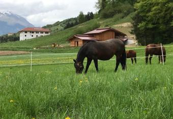 AGRITURISMO MASO PERTENER -adults only- allows 18 year olds to book a room