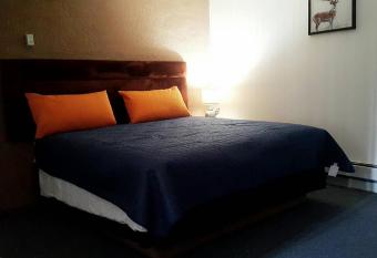 Golden Arrow Motel allows 18 year olds to book a room