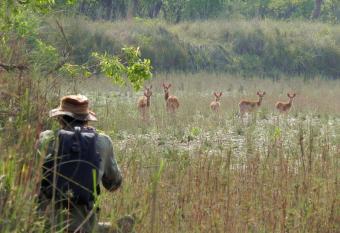 Racy Shade Resort Pvt.Ltd. has Balcony rooms