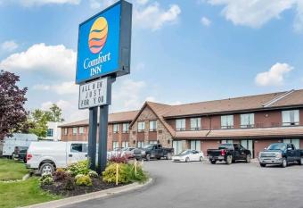 Comfort Inn Newmarket allows 18 year olds to book a room