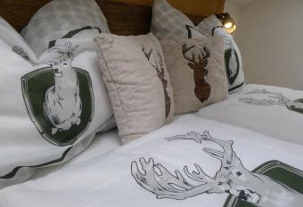 Alpenhaus Dachstein.Zauber has Balcony rooms