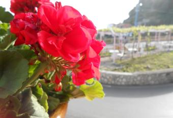 Al Geranio B&B has Balcony rooms