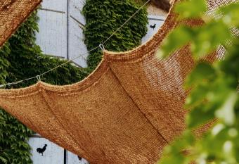 Coq Hotel allows 18 year olds to book a room