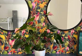 Waikiki Beachside Hostel allows 18 year olds to book a room