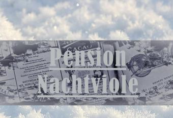 Pension Nachtviole has Balcony rooms