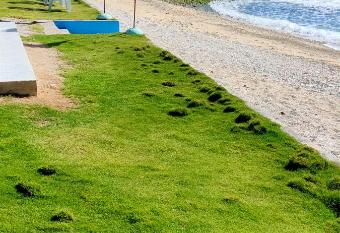 Aloha has Balcony rooms