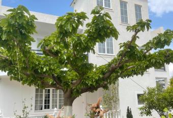 Villa Denis Ksamil has Balcony rooms