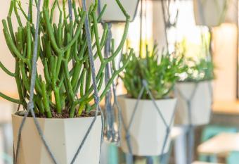 L Oasis has Balcony rooms