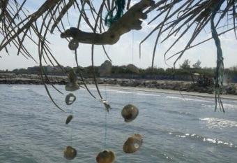 Casa Laguna Venezia has Balcony rooms