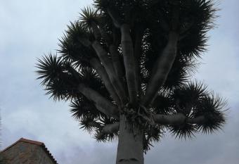 Casa El Drago has Balcony rooms