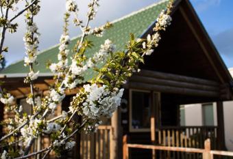 Dalia Barama allows 18 year olds to book a room