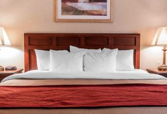 Comfort Inn Livonia has rooms with a private hot tub