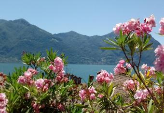 Casa Vacanze da Graziella allows 18 year olds to book a room