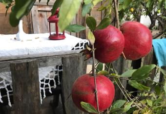 Hane-i Keyif Pension has Balcony rooms