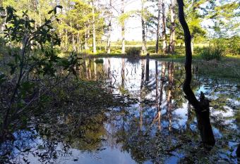 S  tio Sapiranga allows 18 year olds to book a room