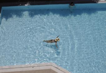 Porto Plazza Hotel has Balcony rooms