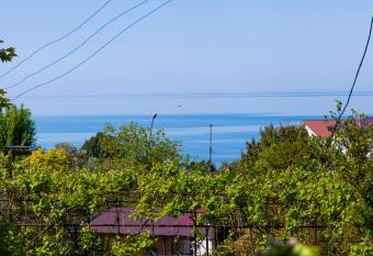 Guest House U Larisy has Smoking/Balcony rooms