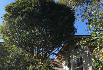 Loft Pal  cio de Cristal allows 18 year olds to book a room