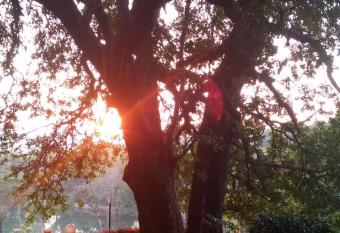 Tatenda Guest House has Balcony rooms