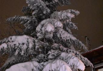 Elatos Guest House allows 18 year olds to book a room