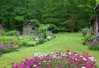 Garden of Eden Cabins allows 18 year olds to book a room