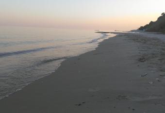 Dallas Hotel has Balcony rooms