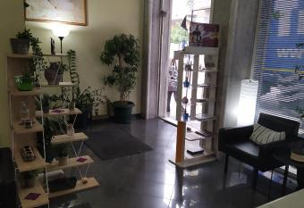 El Greco allows 18 year olds to book a room