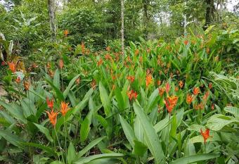 Posada Rural Oasis allows 18 year olds to book a room