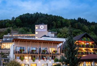 Hotel Sonnenhof has Balcony rooms