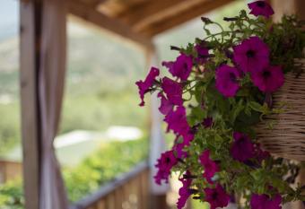 Scala Bungalows has Balcony rooms