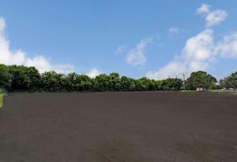 Knights Inn Indianapolis Airport South allows 18 year olds to book a room