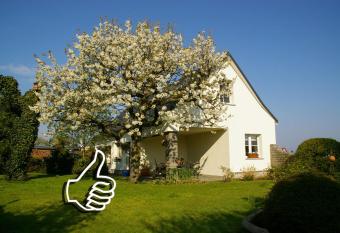 Ferienhaus Hummel-Nest allows 18 year olds to book a room