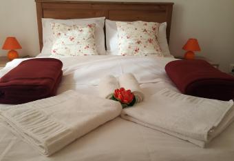 Iri s Downtown Apartment no. 1 allows 18 year olds to book a room