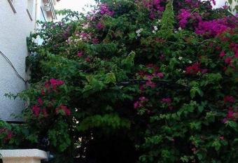 Aegina s Flowers house has Balcony rooms