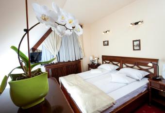 Pension Brasovu Vechi has Balcony rooms