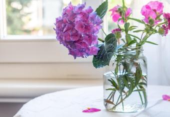 B&B Zenzero e Limone allows 18 year olds to book a room