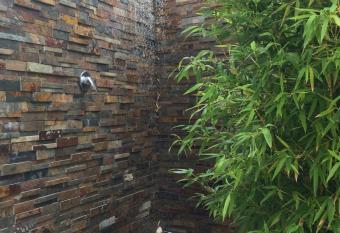 Casa de praia allows 18 year olds to book a room