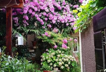 Apartman i Sobe   ule Cres has Balcony rooms