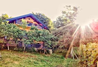 Apartman Potocki has Balcony rooms